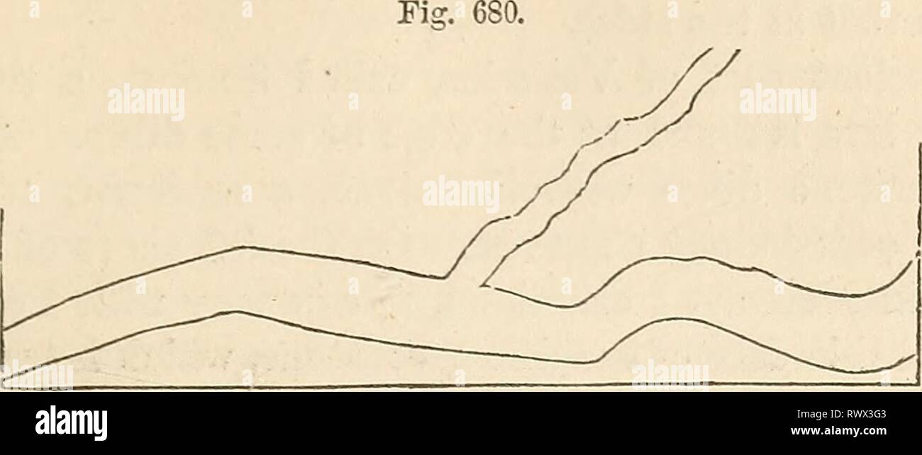 Elements of geology, or, The Elements of geology, or, The ancient ...