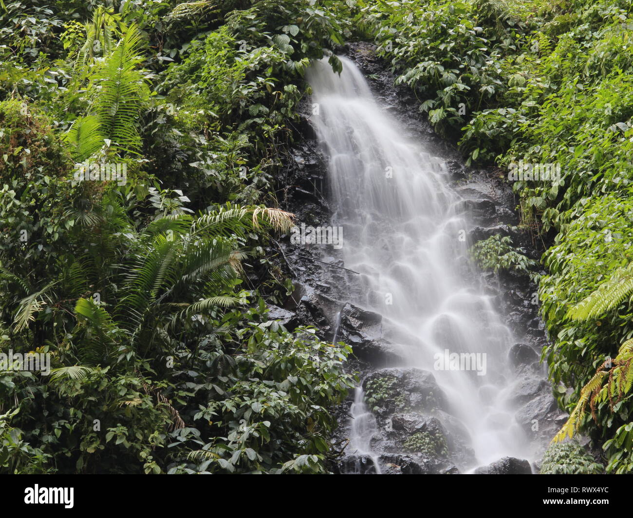 A small waterfall that flows into an unspoiled river is suitable for an illustration of a tropical forest that is still beautiful Stock Photo