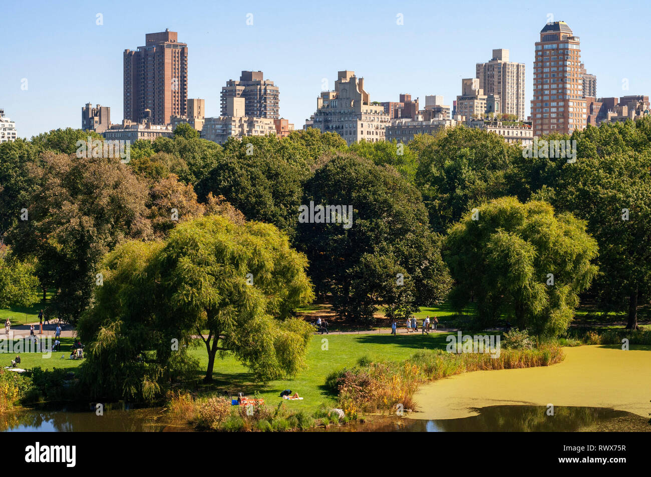 Central Park. In the vicinity of 65th Street is a grassy area called ...