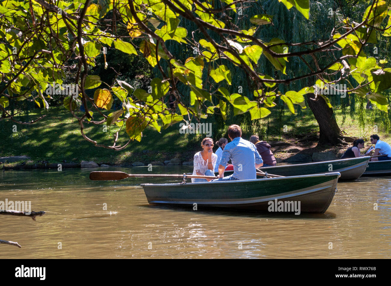 Rowing Boats on The Lake, Central Park, Manhattan, New York, United States. Central Park. Boats