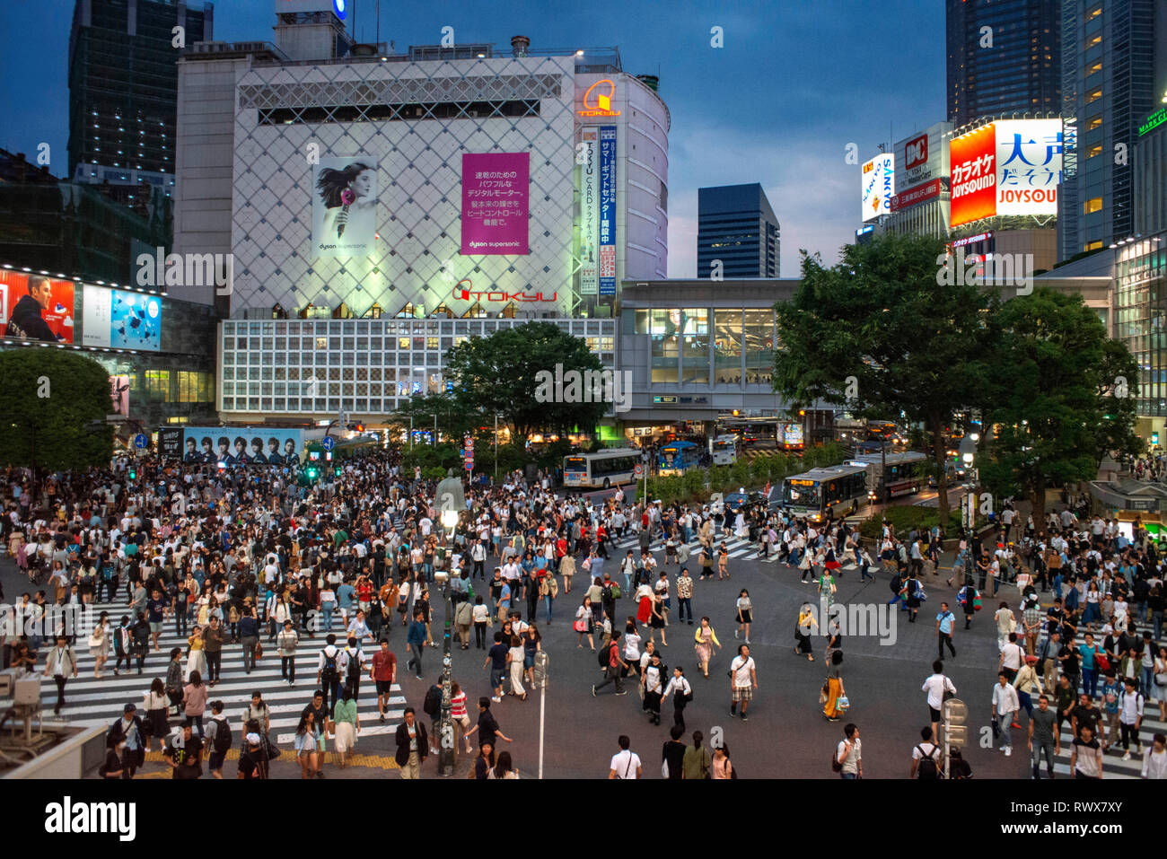 The Shibuya District In Tokyo Shibuya Is Popular District In Tokyo For His Pedestrian Cross Shibuya Tokyo Pedestrians Cross Shibuya Crossing One Stock Photo Alamy