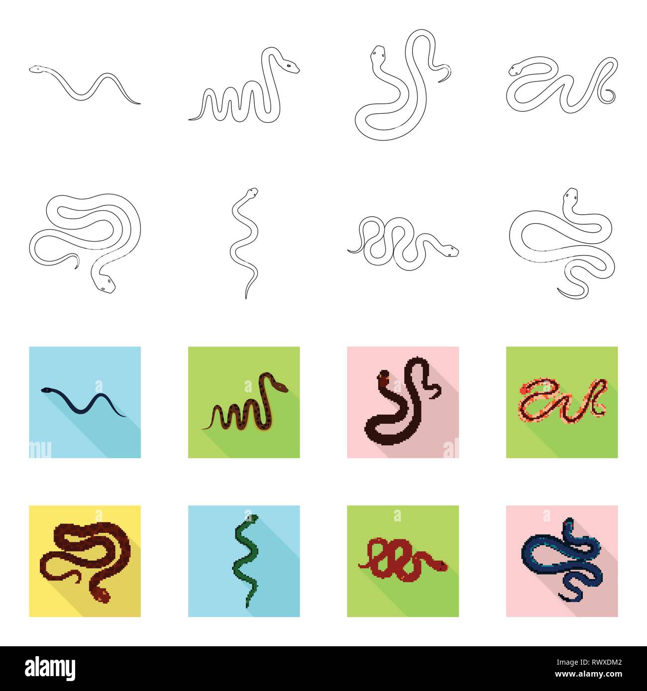 snake,viper,amphibian,tail,python,wild,anaconda,spiral,jungle,forest ...