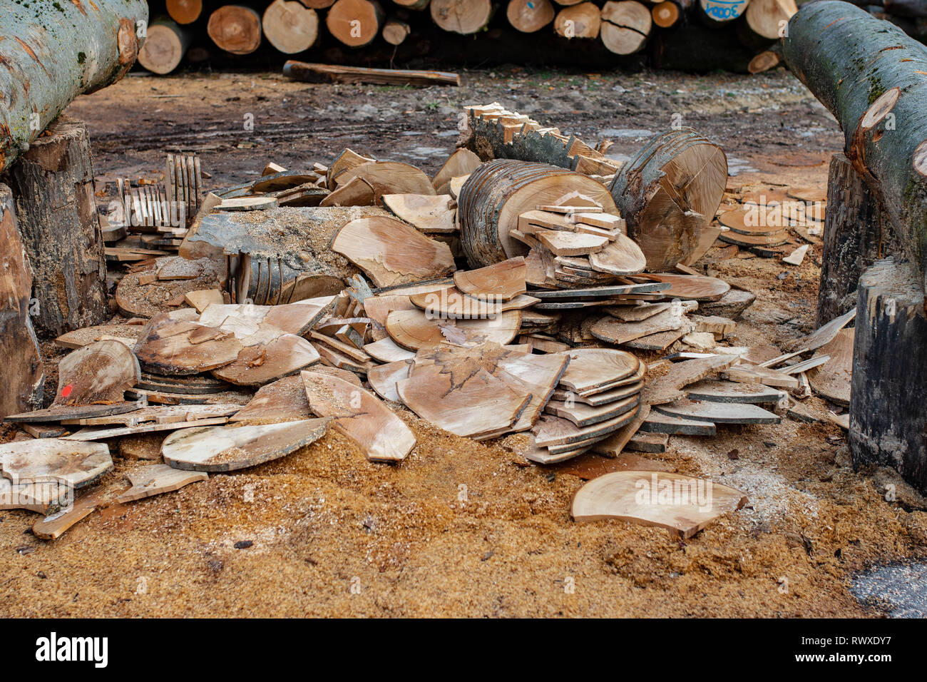 Wood slices cut Stock Photo Alamy