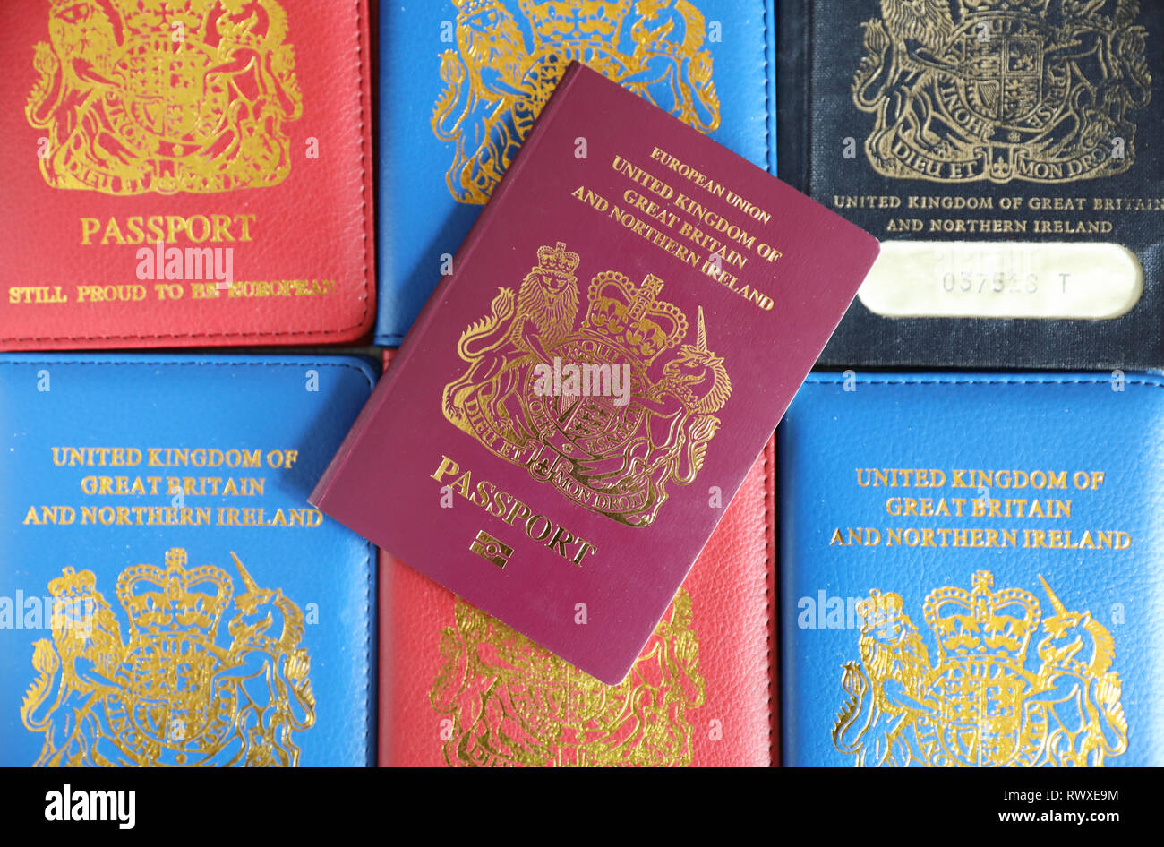Brexit - old and new style British passports, depending on the EU outcome. Stock Photo