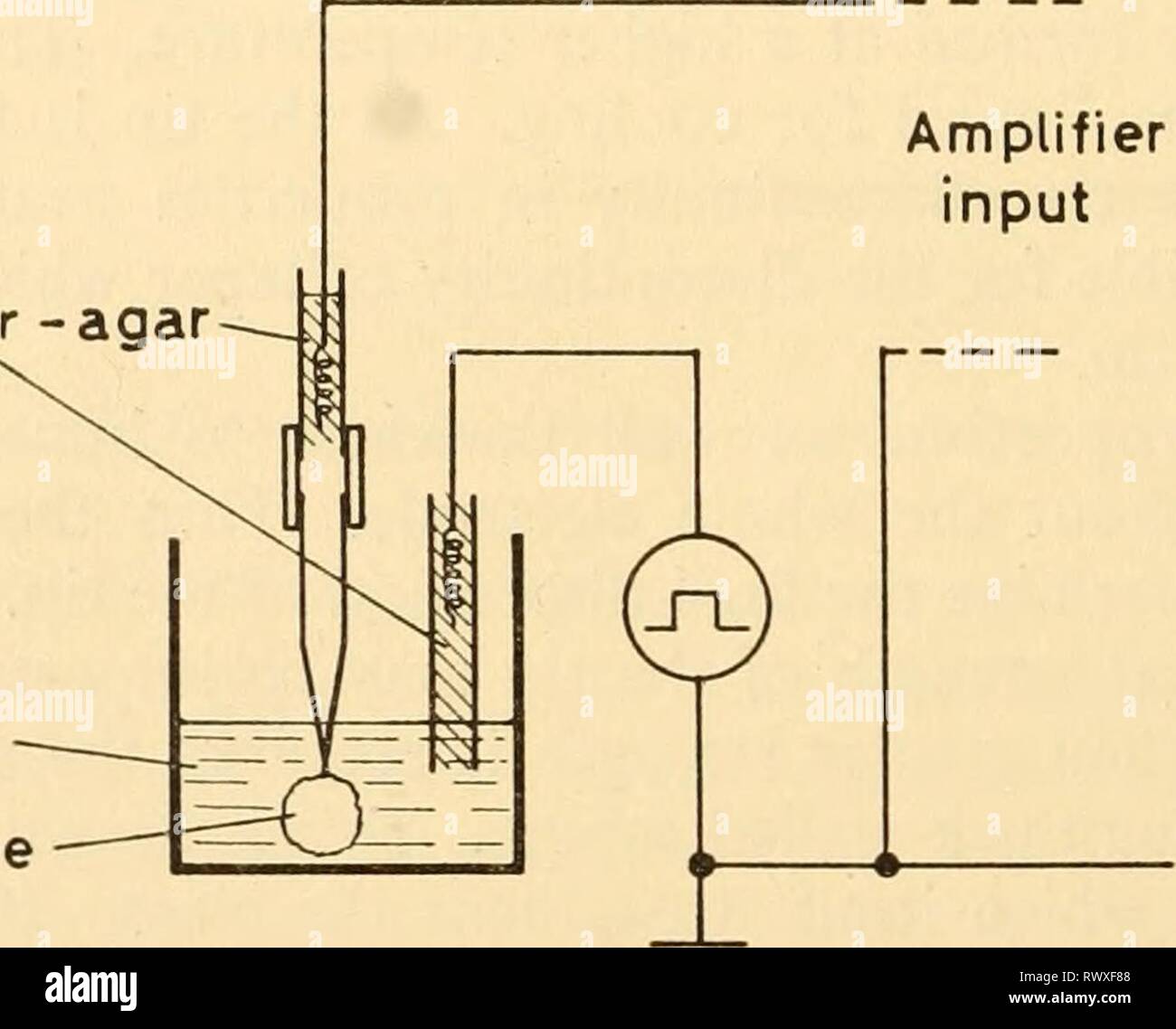 Electronic apparatus for biological research Stock Photo Alamy