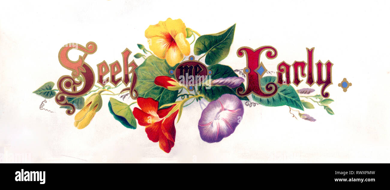 Print shows a floral arrangement as a backdrop for the phrase 'Seek Me Early.' Stock Photo