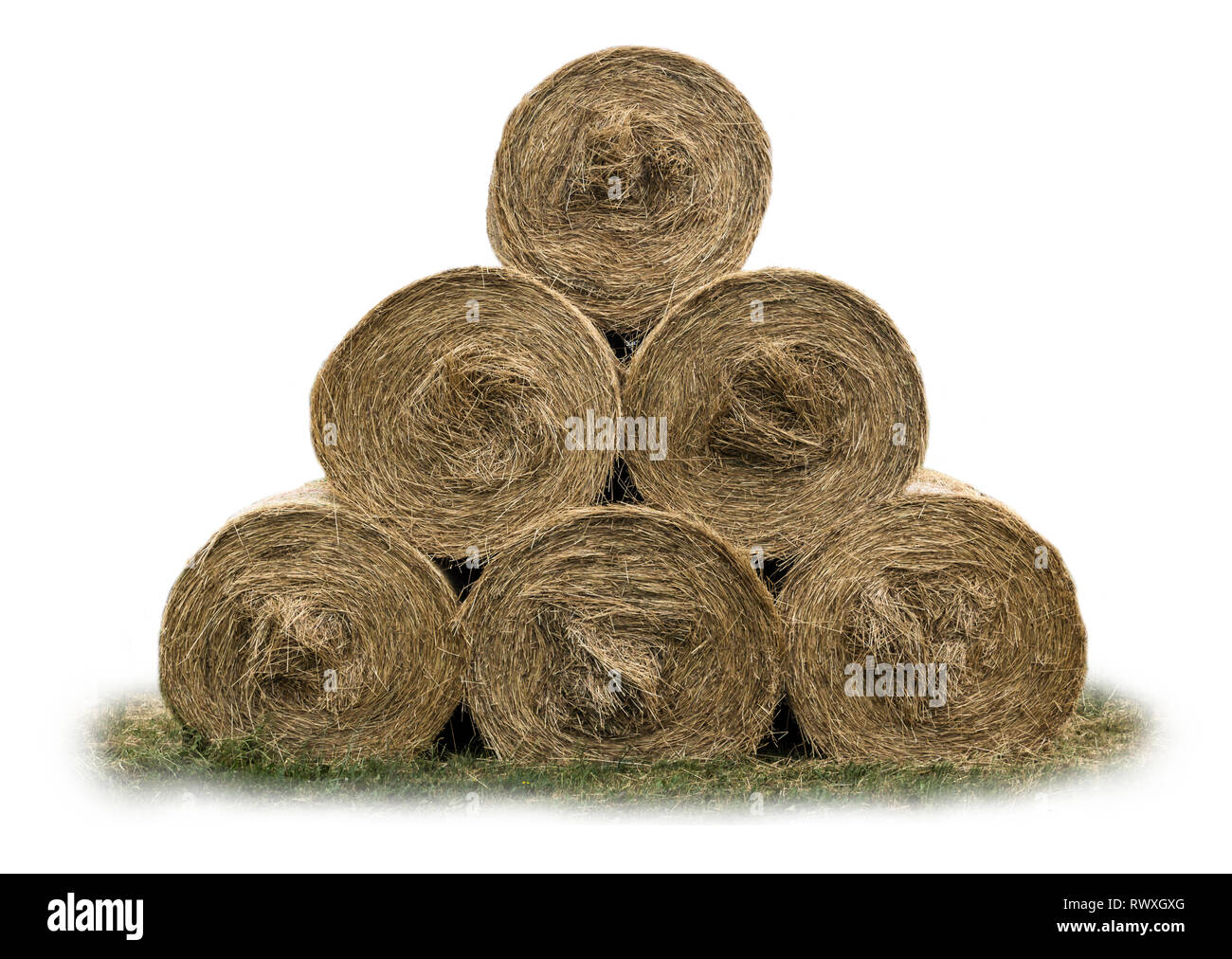 Cow bedding hi-res stock photography and images - Alamy