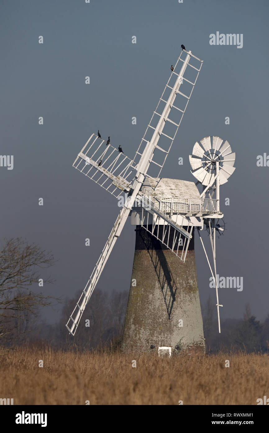 St Benet's Level Mill: Tower Mill Horning Windmill Norfolk Stock Photo