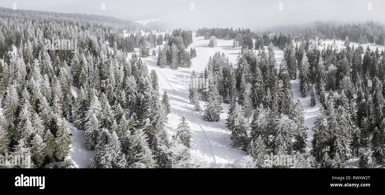 Winter snow laden trees in the Swiss Alps. A snowy forest landscape in switzerland. Stock Photo