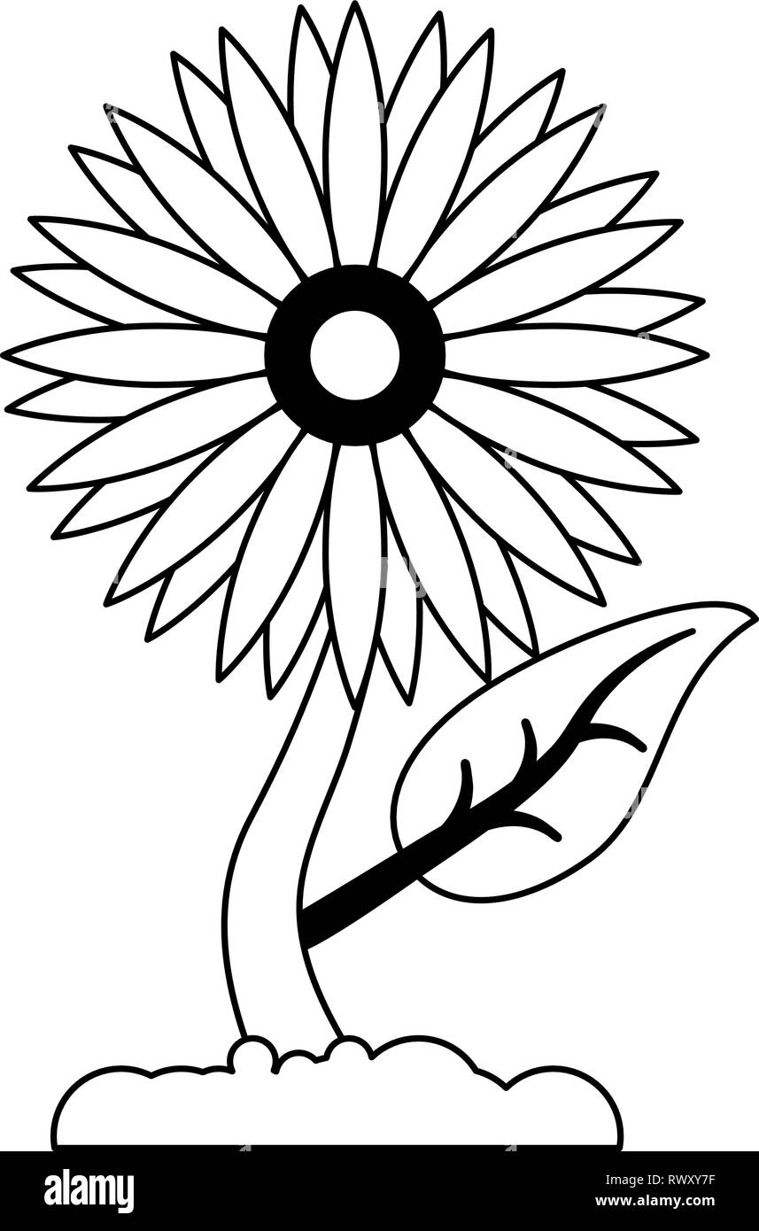 Sunflower plant cartoon isolated in black and white Stock Vector Image & Art - Alamy Sunflower plant cartoon isolated in black and white Stock Vector Image & Art - Alamy