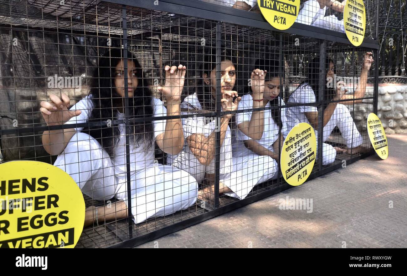 Guwahati, Assam, India. 07th Mar, 2019. Activists of PETA demonstrating by caging themselves in solidarity with hens in Guwahati ahead of the International Women Day on Thursday, 07 March 2019. During the International Women Day on March 8, Women in Guwahati will embrace this year's theme “Balance For Better” and cram themselves into Cage. Credit: Hafiz Ahmed/Alamy Live News Stock Photo
