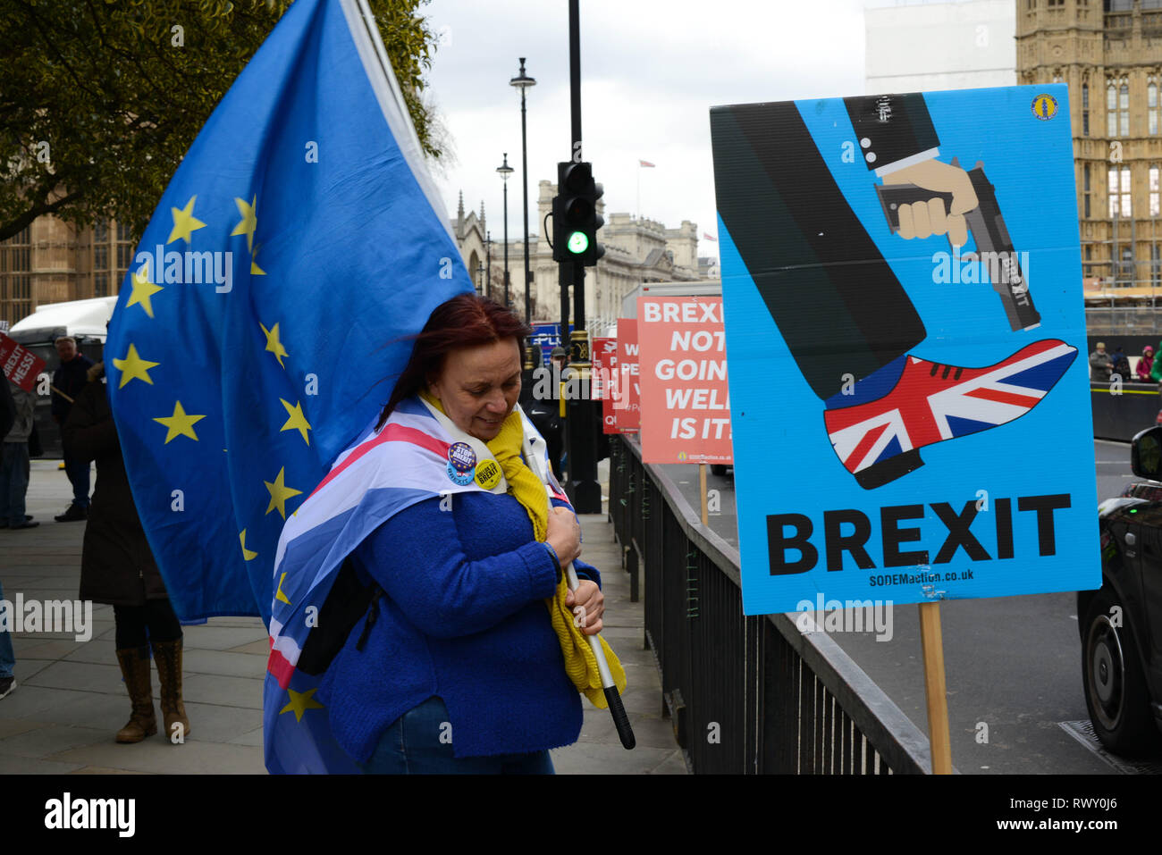 Westminster, London, UK. 7th Mar 2019. Anti-Brexit Activist demonstrate opposite Palace Of Westminster in London. Credit: Thomas Krych/Alamy Live News Stock Photo