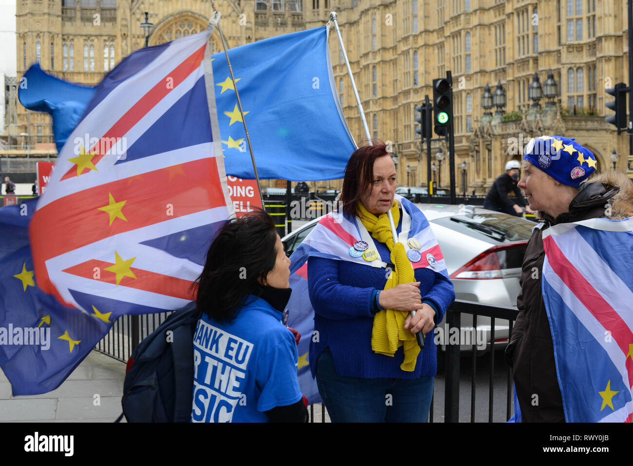 Westminster, London, UK. 7th Mar 2019. Anti-Brexit Activists demonstrate opposite Palace Of Westminster in London. Credit: Thomas Krych/Alamy Live News Stock Photo