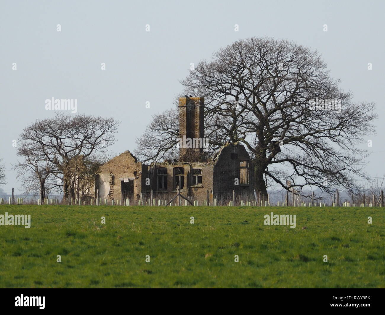 Harty, Kent, UK. 8th March, 2019. UK Weather: a sunny morning in Elmley, Kent. The remains of the Old School House on Elmley marshes, which used to serve a small settlement of 200 people until it was closed in 1920. Credit: James Bell/Alamy Live News Stock Photo