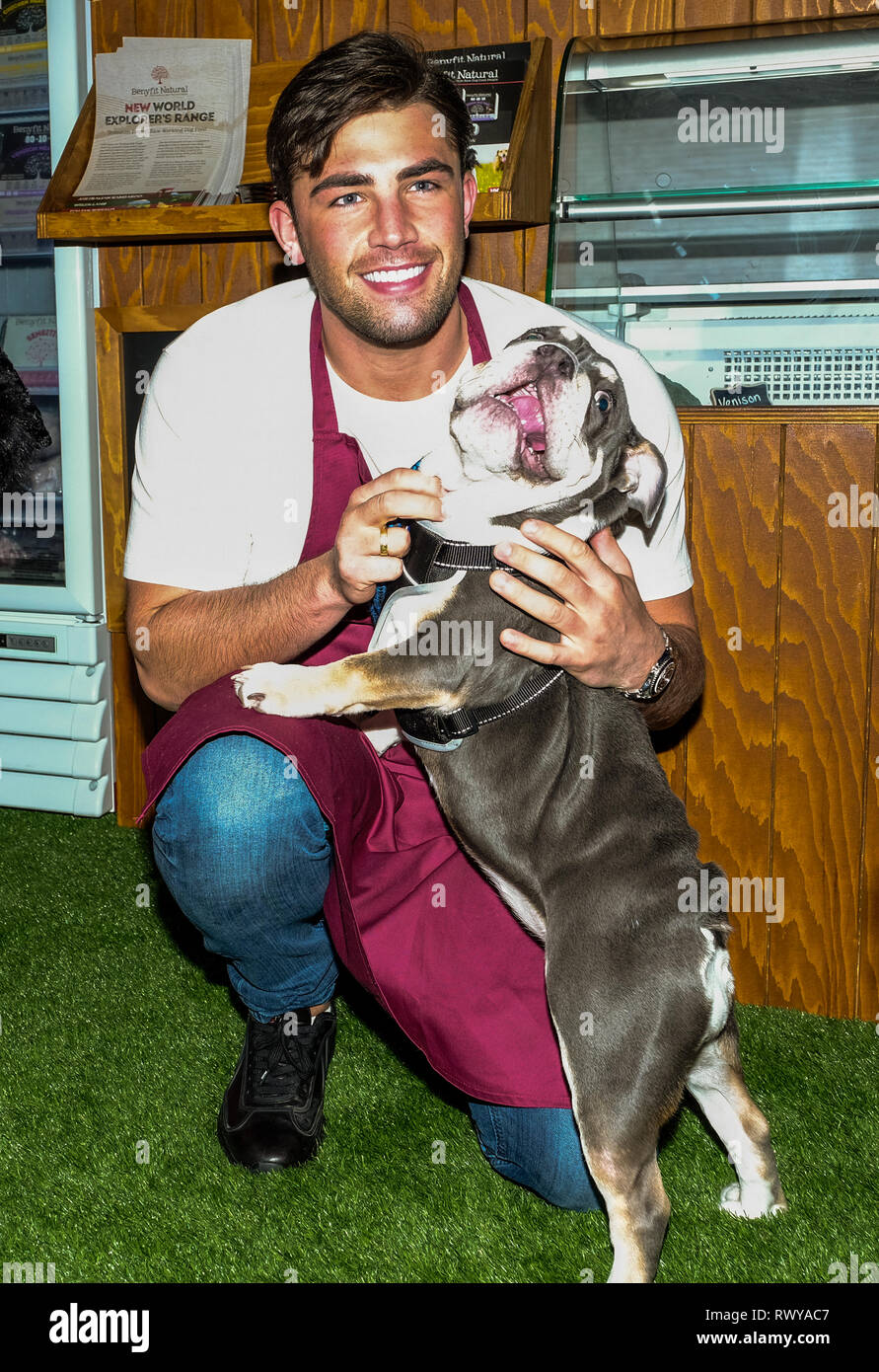 Birmingham, UK. 8th March, 2019. NEC Birmingham. Crufts Dog Show.Jack Fincham Love Island winner. together with his Bulldog on the Benyfit Natural stand Credit: charlie bryan/Alamy Live News Stock Photo
