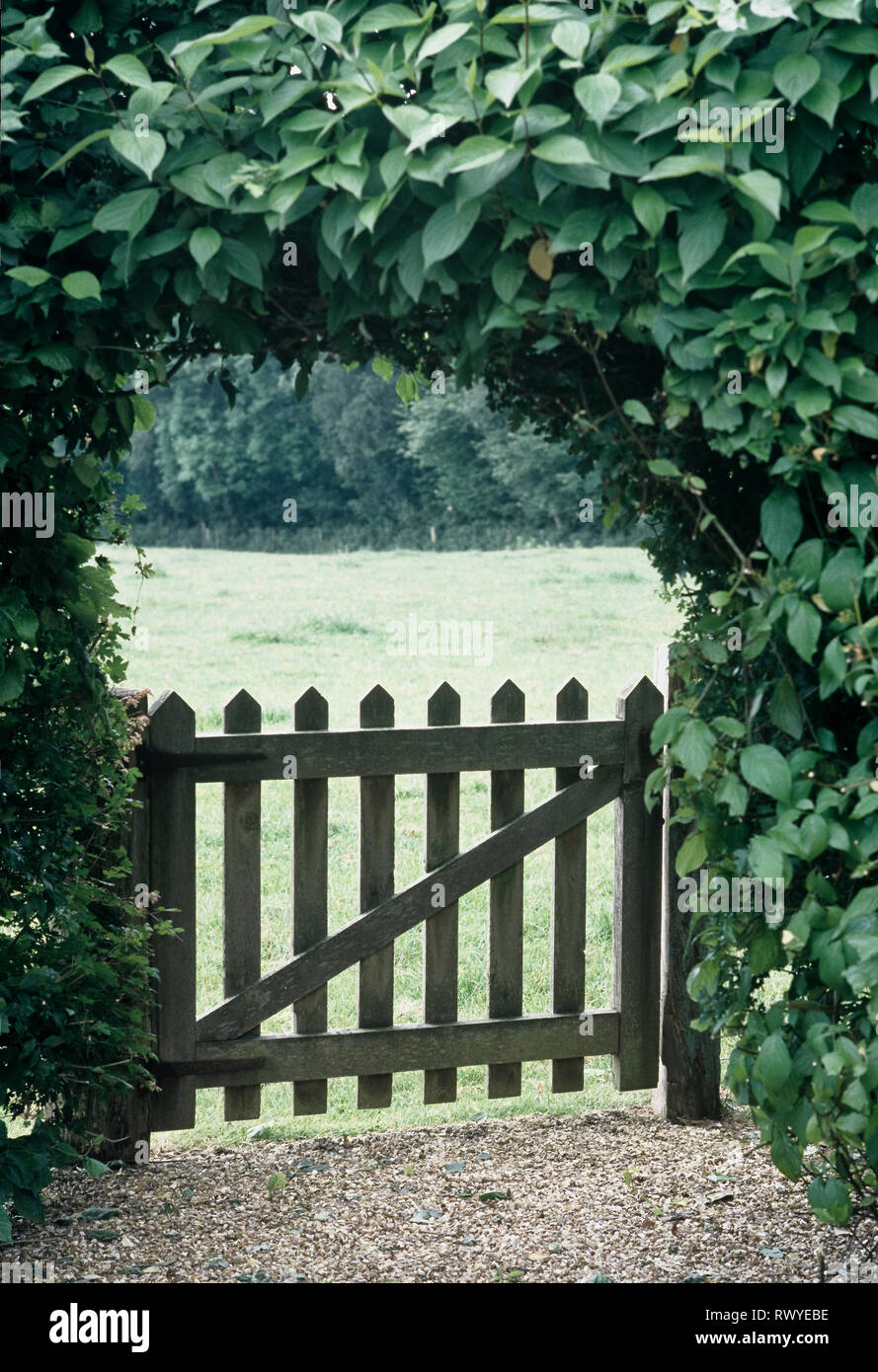 Closed wooden gate under hedge Stock Photo