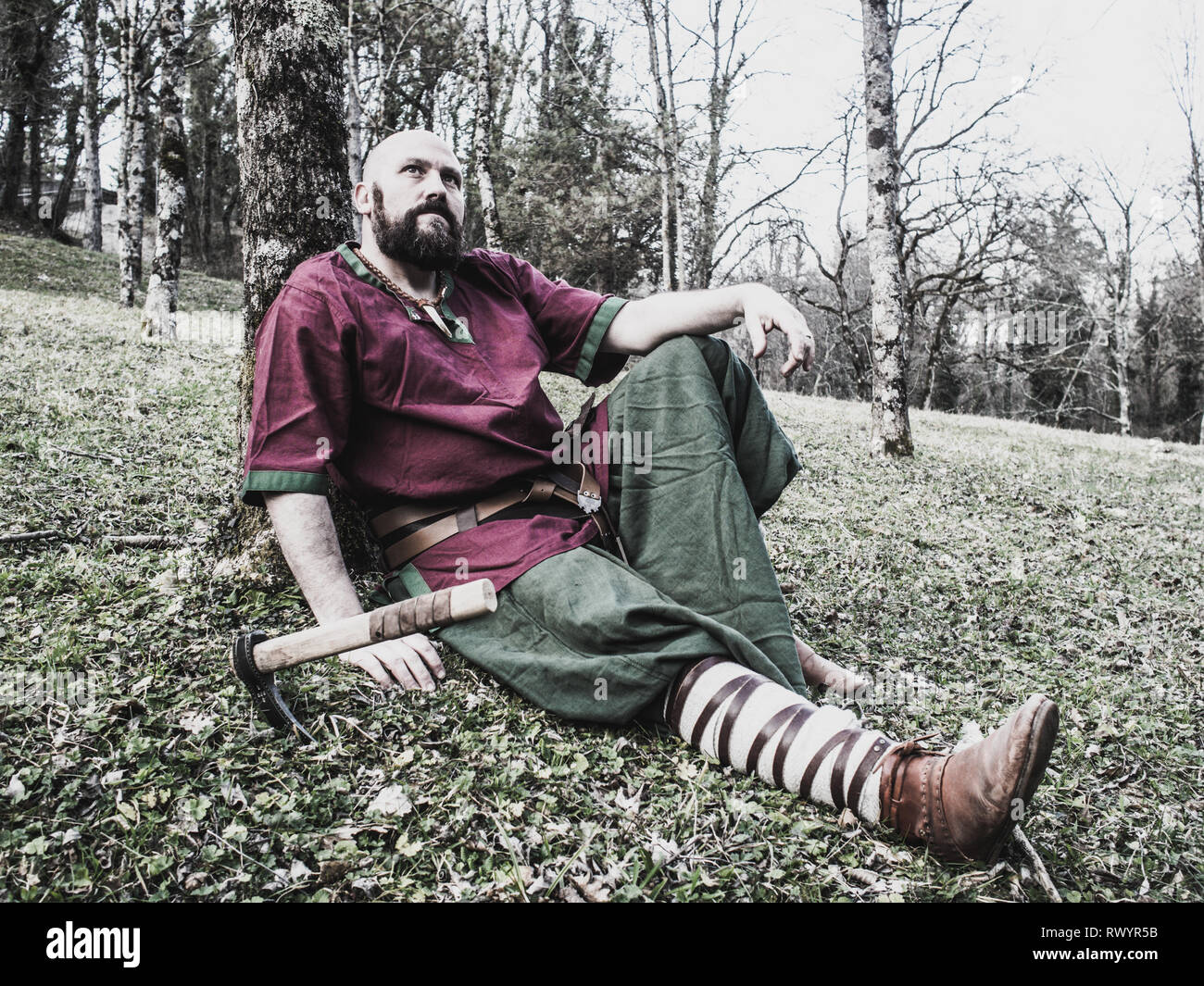 Viking sitting down a tree Stock Photo - Alamy