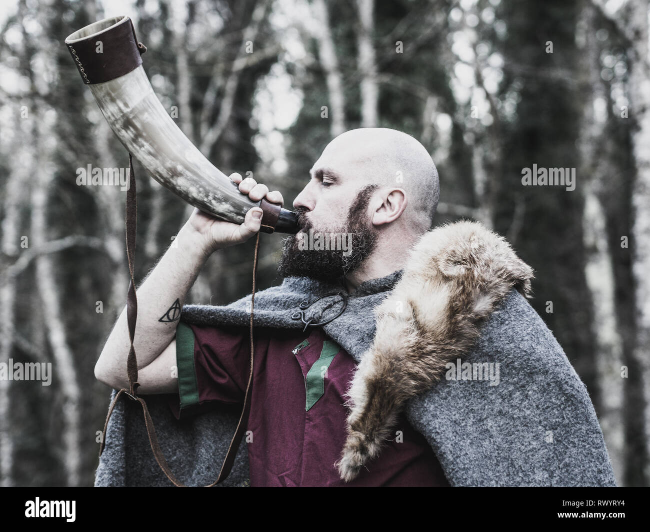 Viking horn hires stock photography and images Alamy