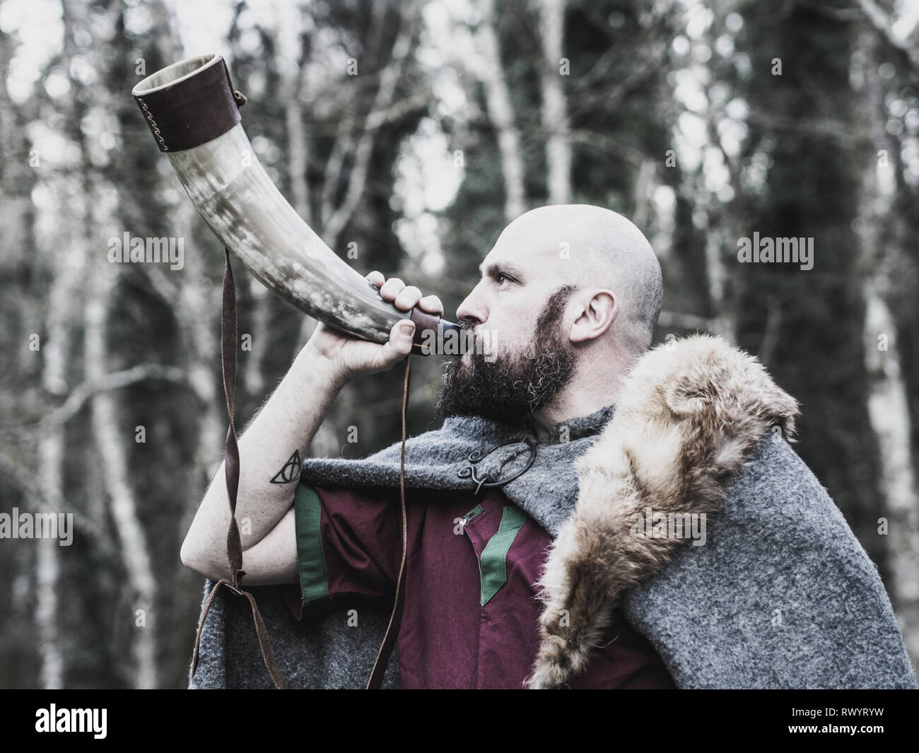 Viking using battle horn Stock Photo Alamy
