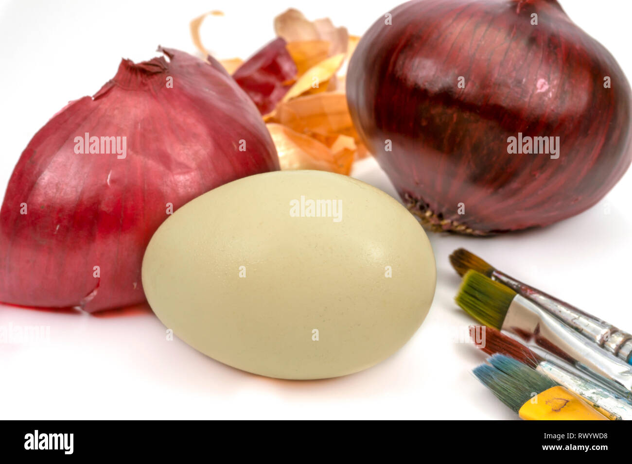Egg fresh whole red onion and dried onion skin isolated on white