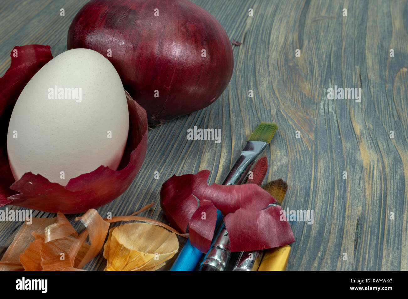 Fresh egg balancing in a dried onion skin, painting brushes and dried onion skin on a wooden table. Easter eggs dyed with onion skins concept Stock Photo