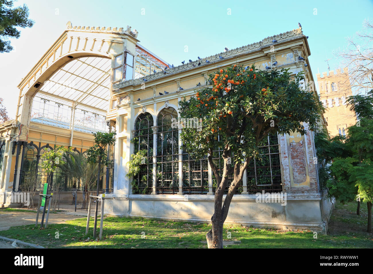 The Hivernacle (greenhouse) in the Ciudadella Park Stock Photo