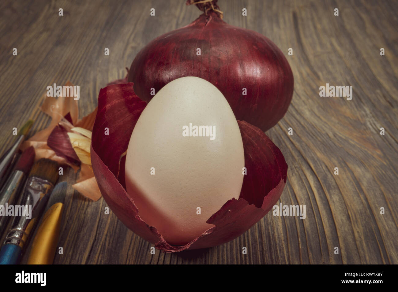 Fresh whole red onion, egg and dried onion skin isolated on white