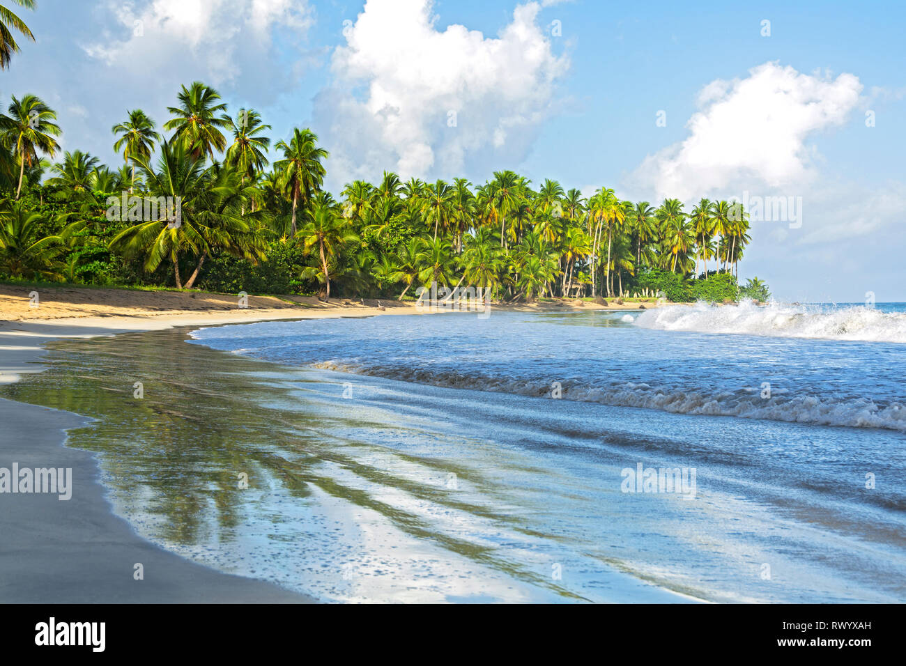 Coson beach is one of the most beautiful beaches of Las Terrenas, where you  can find a wide variety of restaurants, bars and hotels where you can spen  Stock Photo - Alamy
