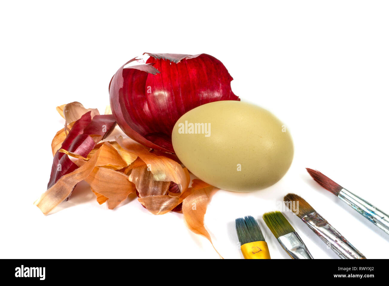Egg, painting brushes and dried onion skin isolated on white. Easter