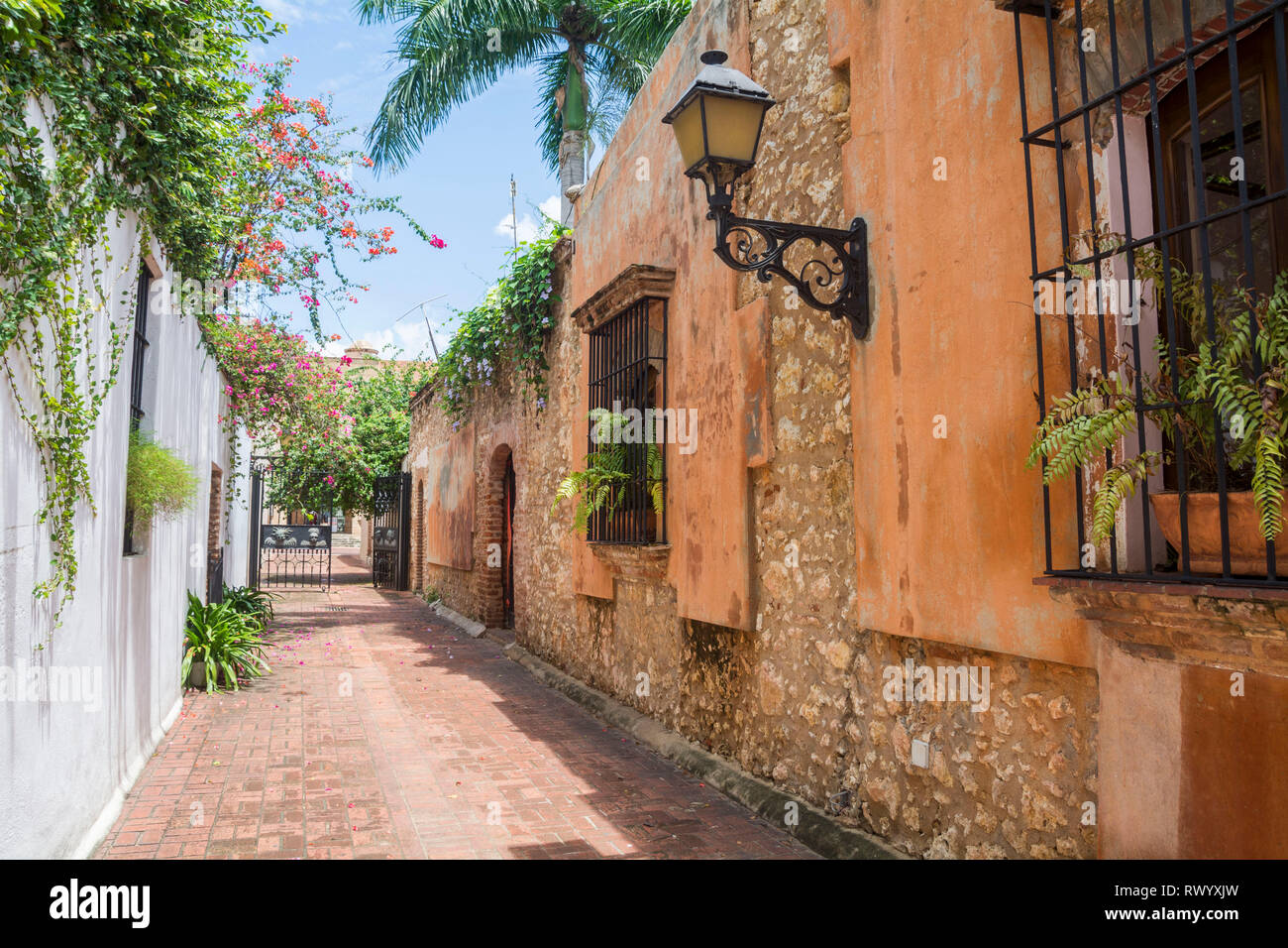 The Callejón de los Curas. It is a tiny passage, barely a splendid block paved with bricks that shaded by the leaves of a generous and ornamented mang Stock Photo