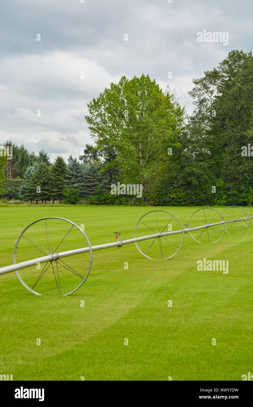 Green lawn with irrigation system over the field on cloudy summer day Stock Photo