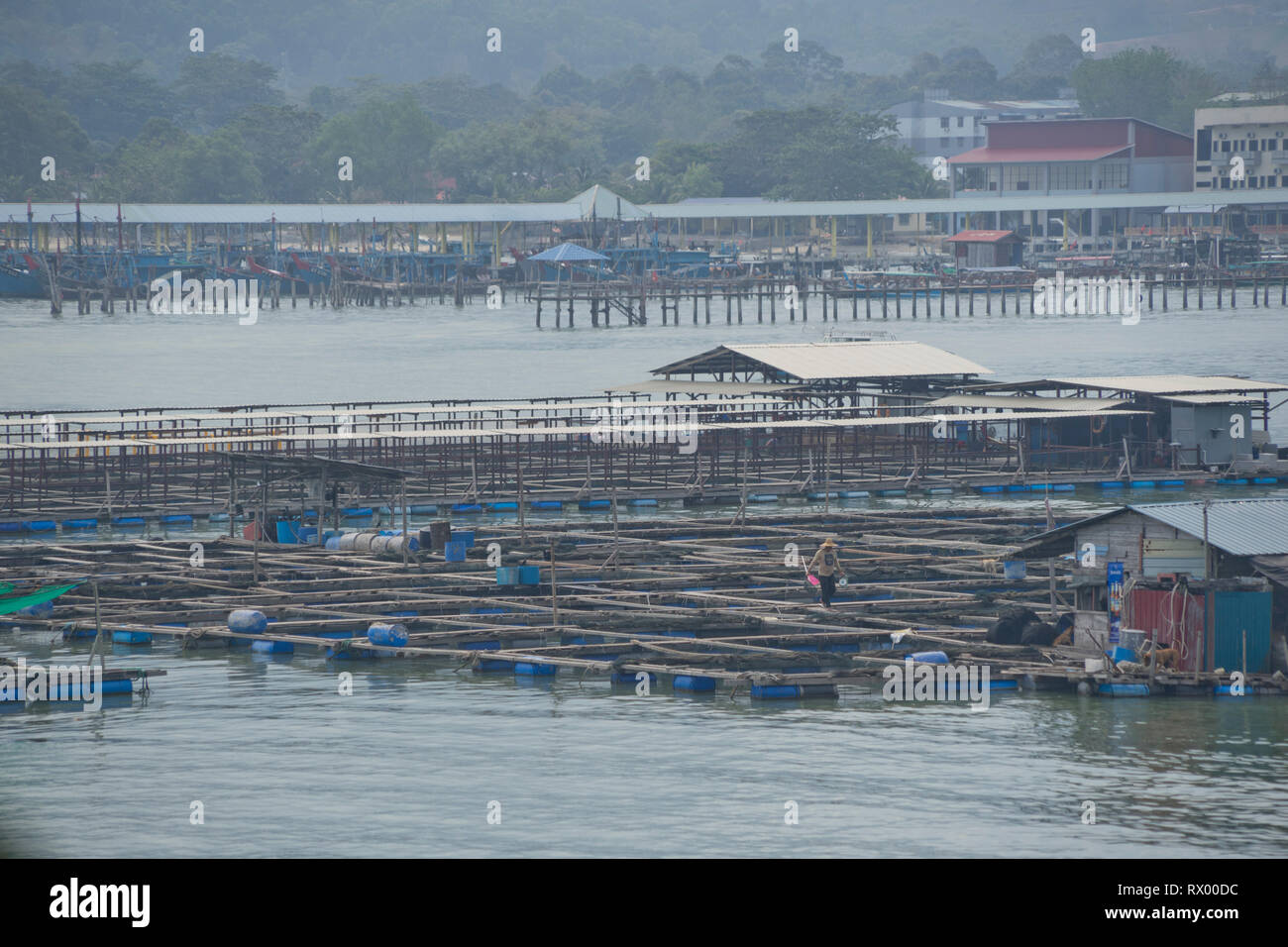 Fishing village and boats on pier by the rainforest in the Taman Negara