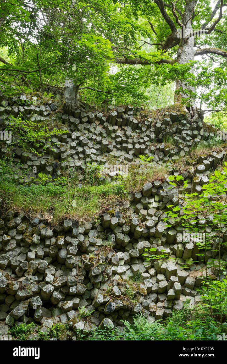 Basalt prisms, Gangolfsberg, Rhön Biosphere Reserve, Bavaria, Germany Stock Photo