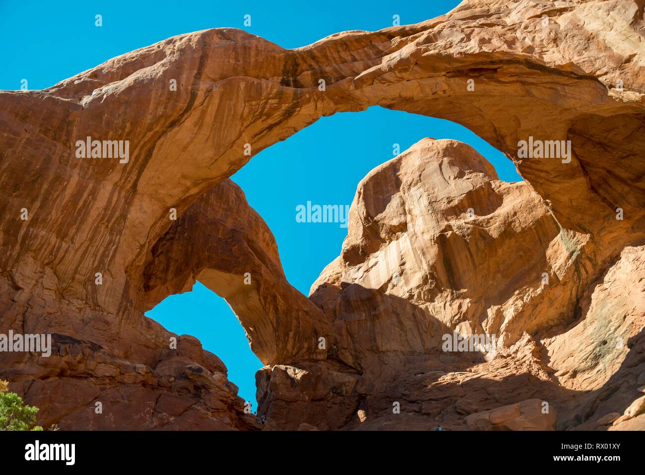 Arch Double Arch, Windows Section, Arches National Park, Moab, Utah, USA Stock Photo