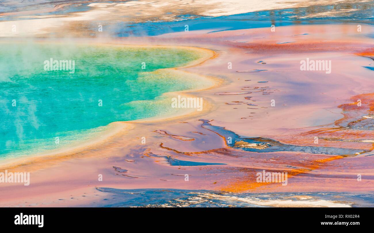 Colored mineral deposits at the edge sr steaming hot spring, detail photo, Grand Prismatic Spring, Midway Geyser Basin Stock Photo