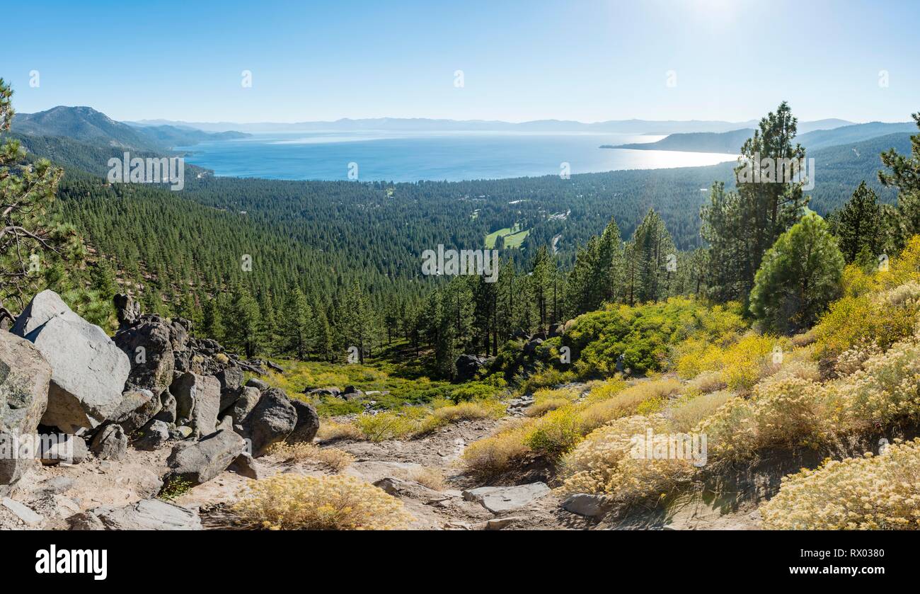 View to Lake Tahoe, surrounded by forest, California, USA Stock Photo