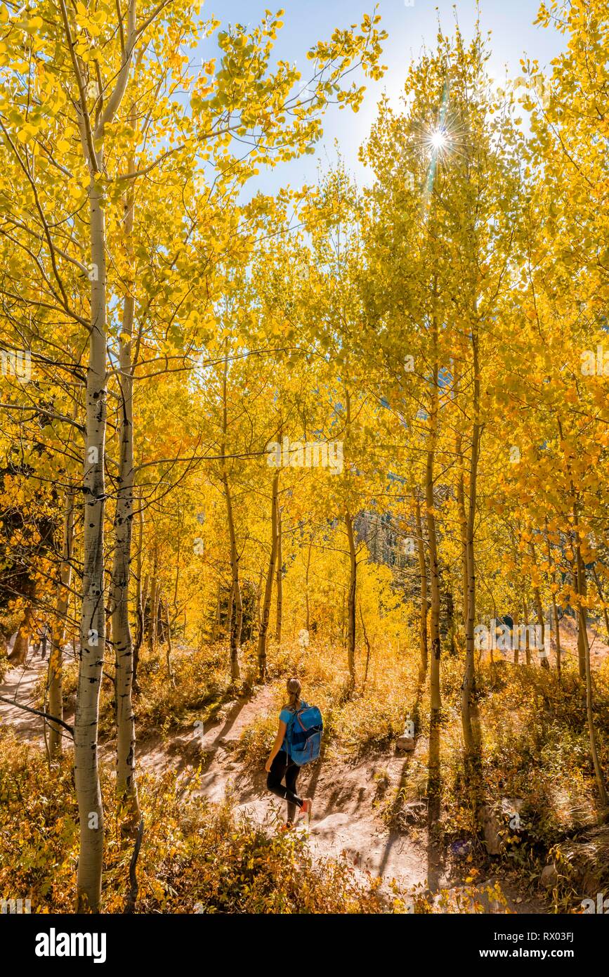 Young woman on hiking trail, Jenny Lake Trail, autumn yellow aspen, Grand Teton National Park, Wyoming, USA Stock Photo
