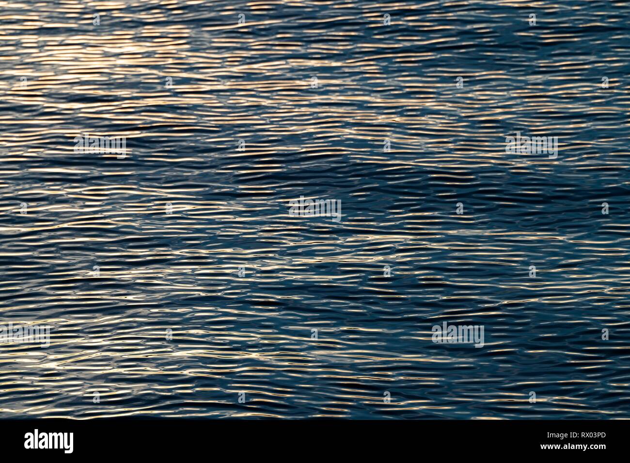 Sea surface, Greenland Sea, Spitsbergen, Svalbard, Norway Stock Photo