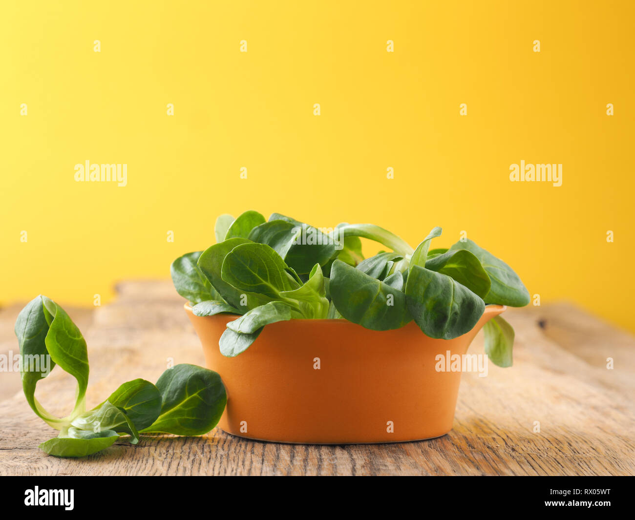 Fresh organic Lamb's lettuce in a rustic ceramic bowl on a wooden kitchen table, healthy food Stock Photo