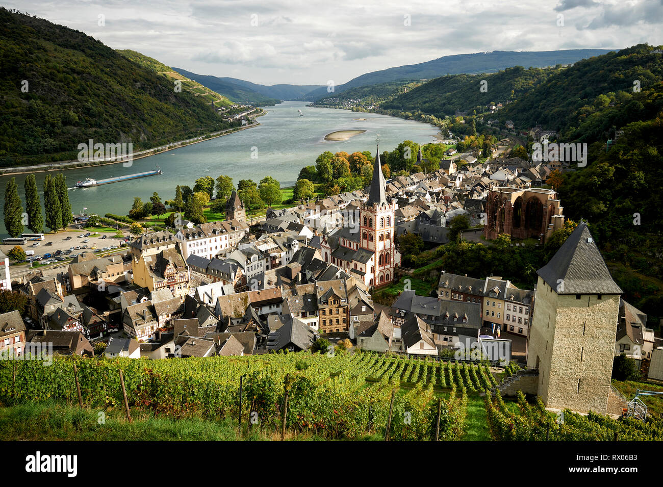 Blick auf Bacherach am Rhein von einem Weinberg aus. Stock Photo