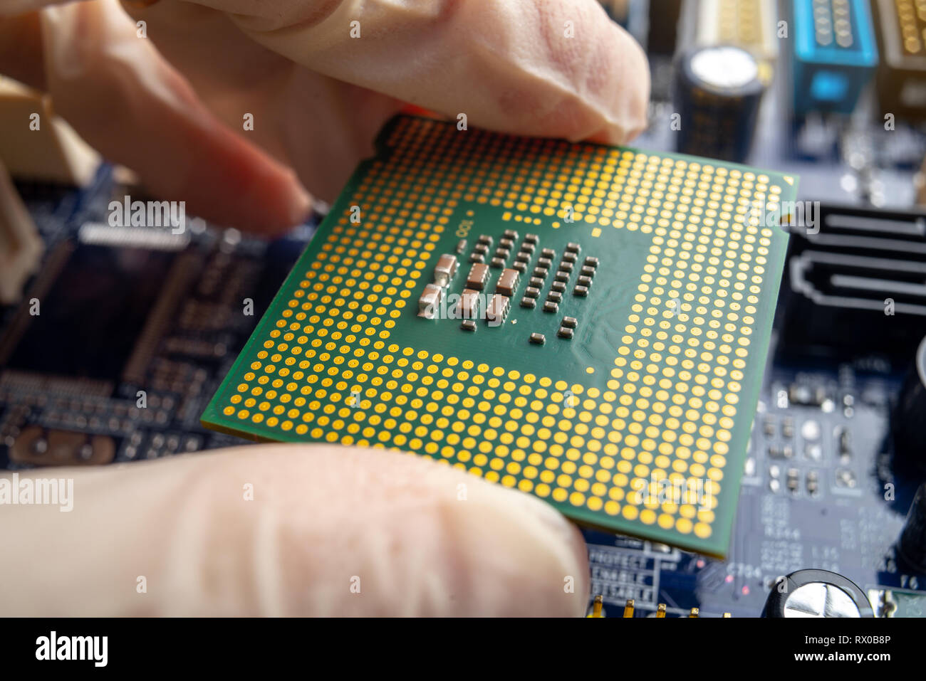 The chip microprocessor in the hands of an engineer technician for the ...