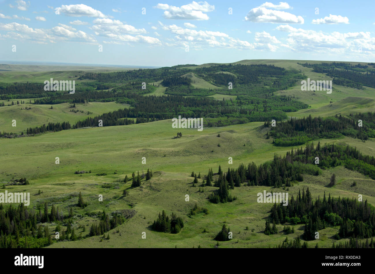 Aerial of cypress hills park hires stock photography and images Alamy