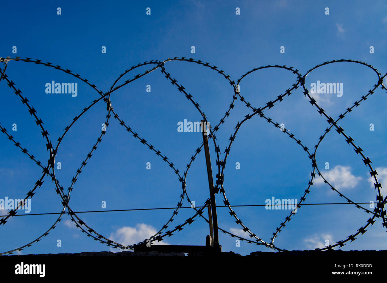 Metal barbed wire on a blue sky with white clouds. close-up Stock Photo ...