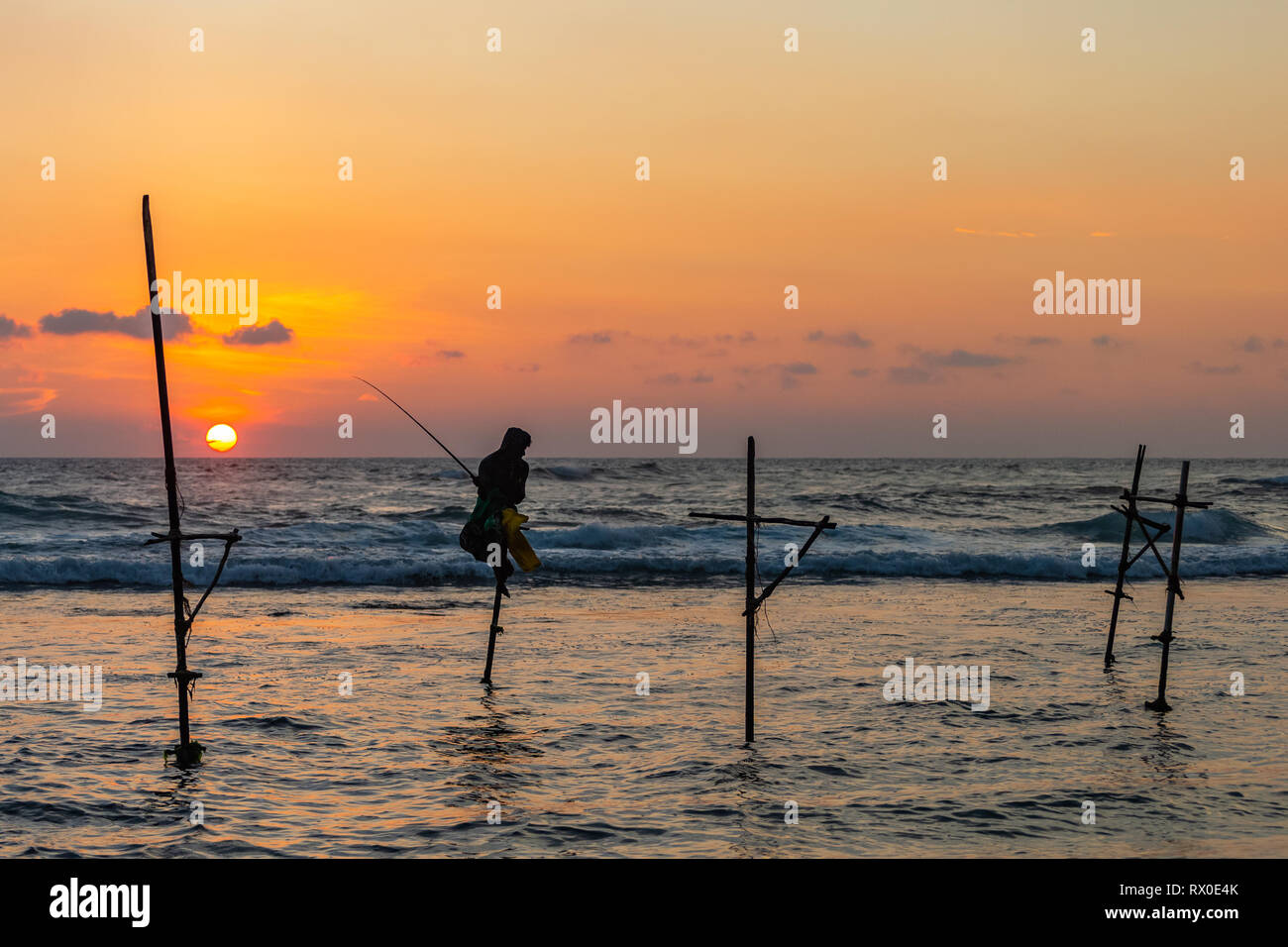 Famous traditional Sri Lankan stilt fishing. Unawatuna, Sri Lanka Stock ...