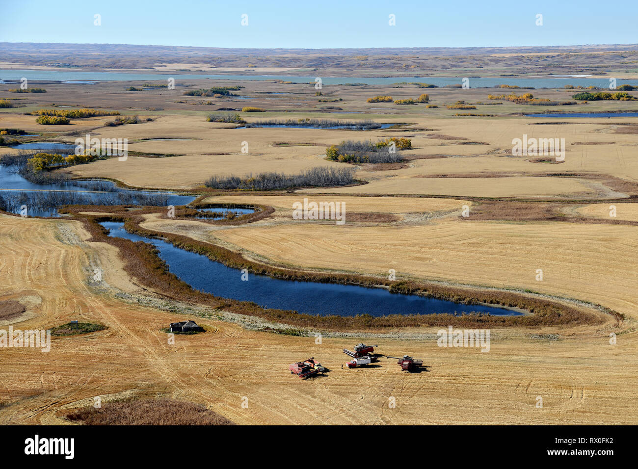 Perdue farm hires stock photography and images Alamy