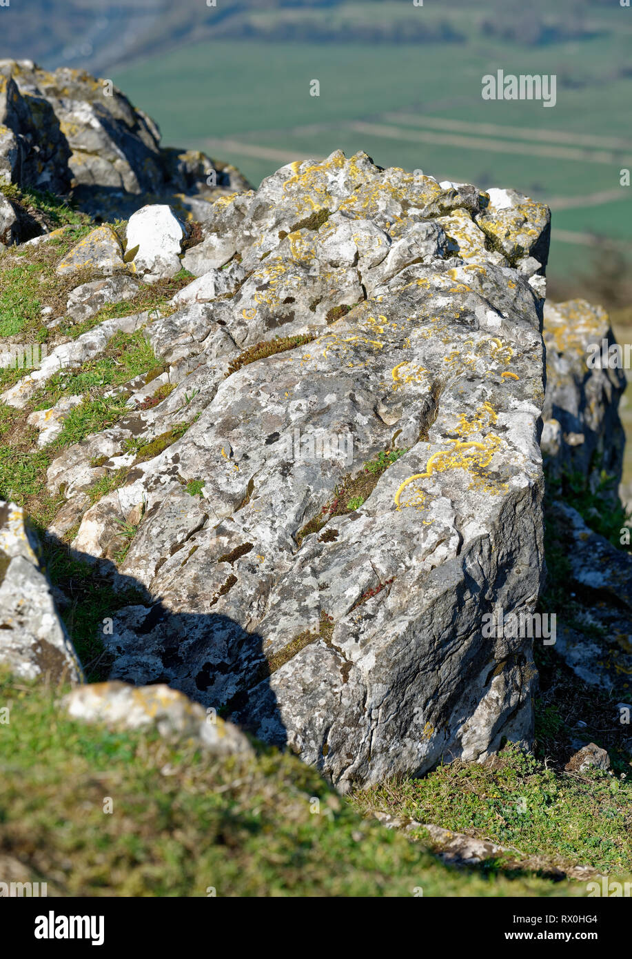 Carboniferous Limestone Outcrop on Crook Peak, Compton Somerset
