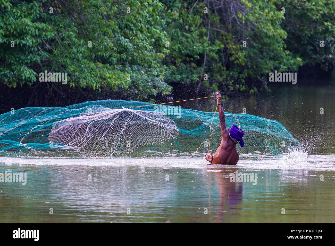 Fisherman fishing with net. Sri Lanka Stock Photo Alamy