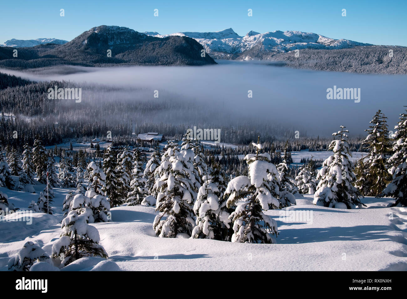 Mount Washington Alpine Resort, Vancouver Island, BC Canada Stock Photo ...