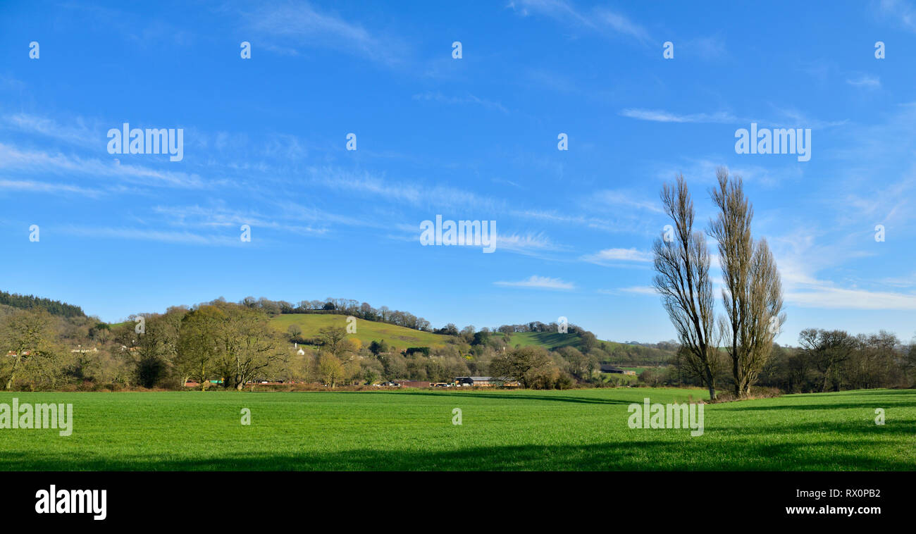 Devon countryside view with rolling green hills, trees and houses in ...