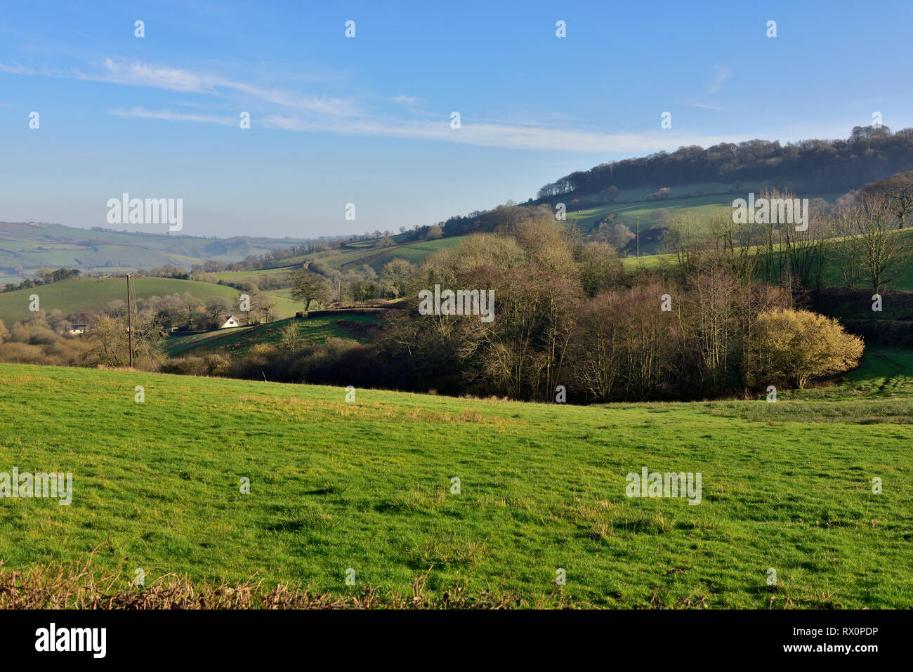 Devon countryside view with rolling green hills, trees and houses in ...